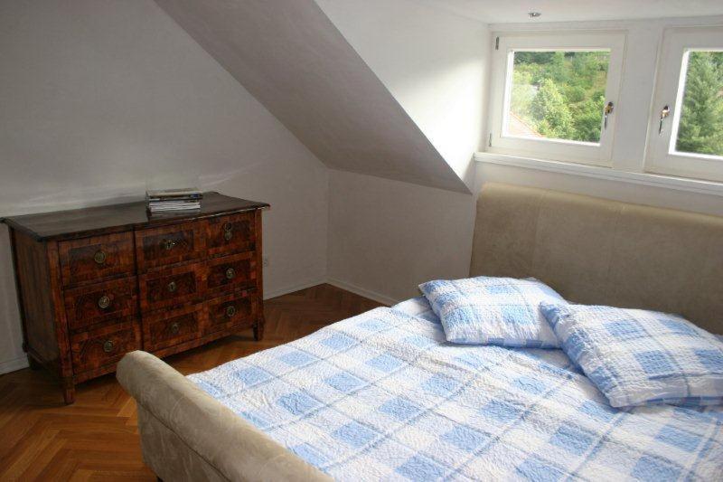 Apartmenthaus Albrechtsburg Bad Schandau Ruang foto