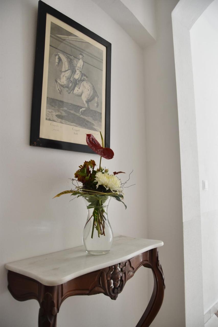 Apartmenthaus Albrechtsburg Bad Schandau Bagian luar foto
